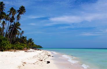 Upaya Konservasi Pulau Maratua