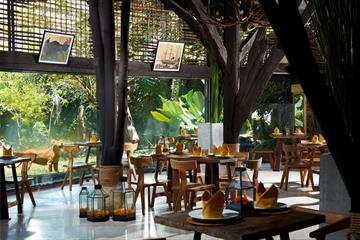 Safari Kuliner di Restoran Wana Ubud