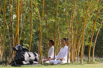 Coba Wisata Religi di India, Tanah Kelahiran Olahraga Yoga