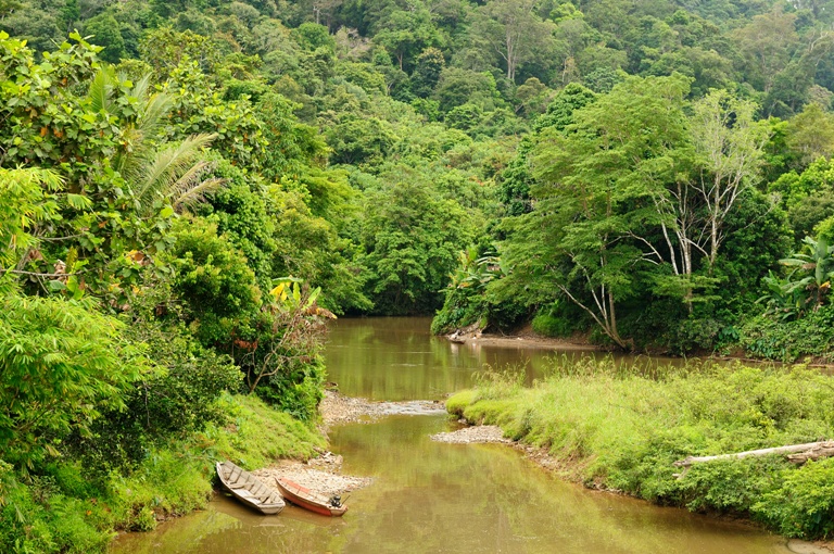 Sinergi Bank HSBC bersama WWF Indonesia dalam Konservasi Lingkungan