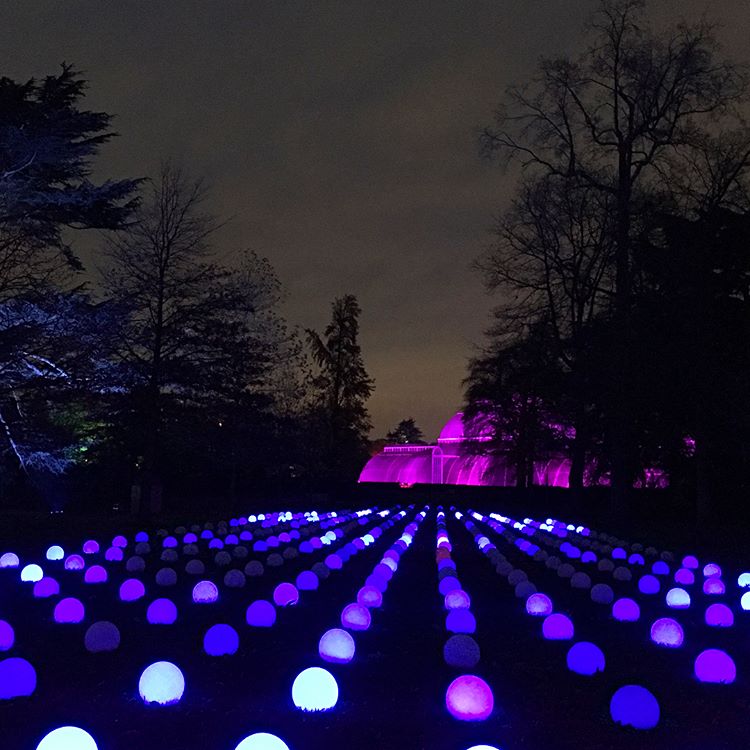 Saksikan Keindahan Lampu-lampu Natal di Kew Gardens, London