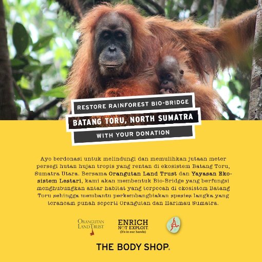 Peduli Orang Utan bersama The Body Shop Indonesia