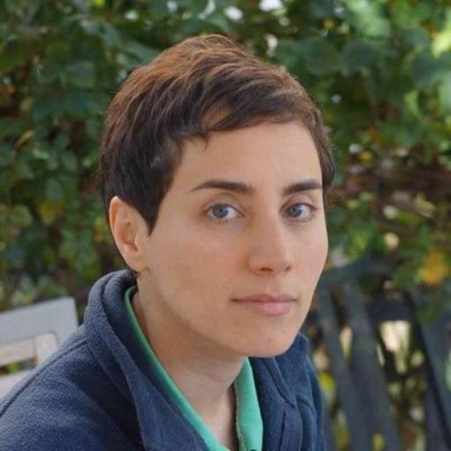 Kabar Duka Datang dari Ahli Matematika Dunia, Maryam Mirzakhani. 