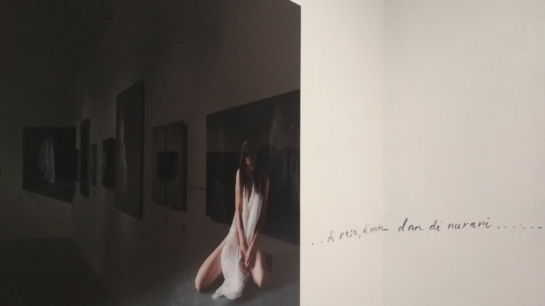 Inilah Pameran Fotografi Vanessa van Houten bertajuk FREE FALL 