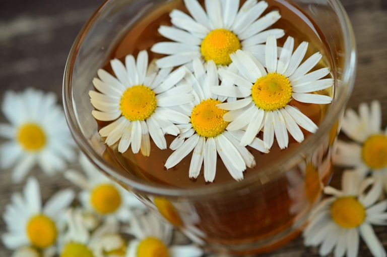 Teh Herbal Chamomile untuk Kulit Sensitif